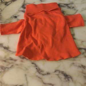 Small Dog Halloween Orange T Shirt